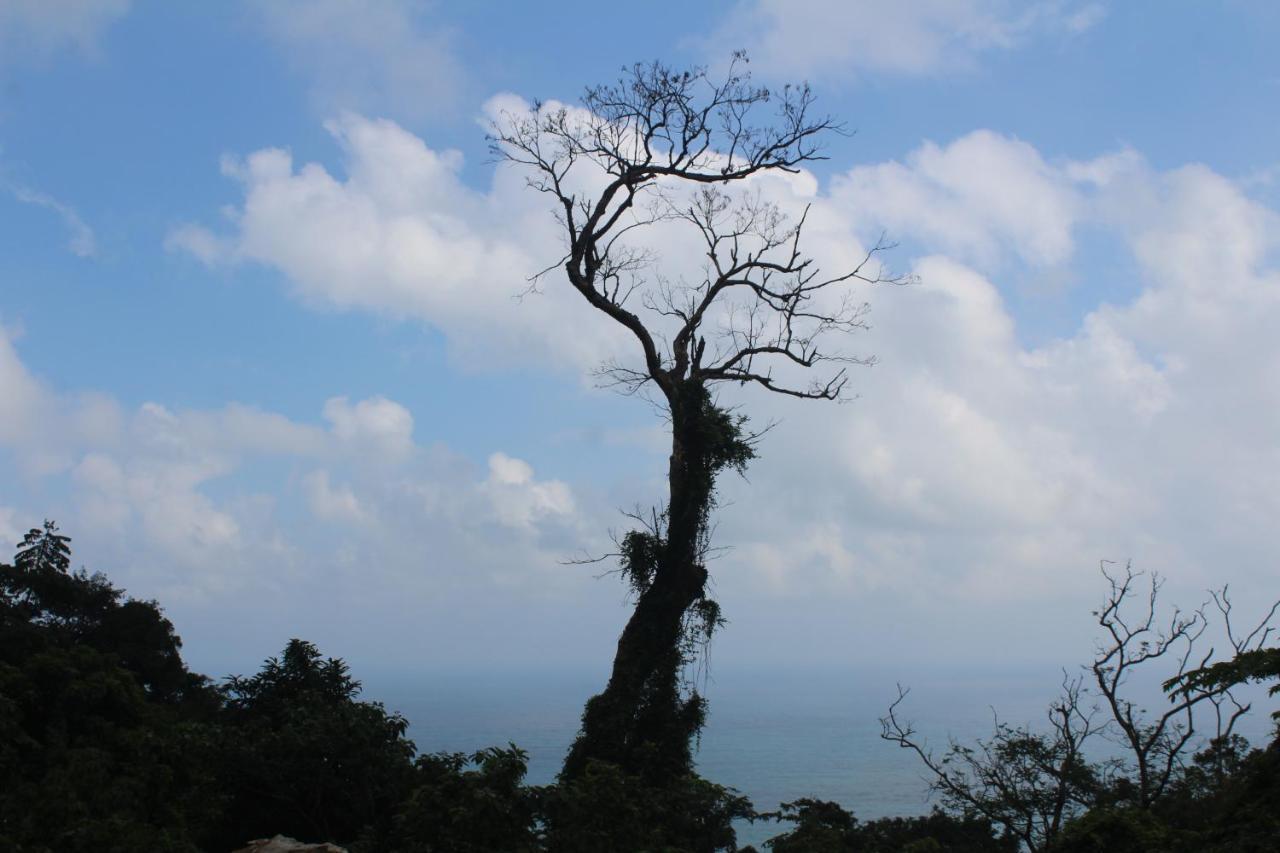 Cham Island Smiles Homestay Tân Hiệ Eksteriør billede