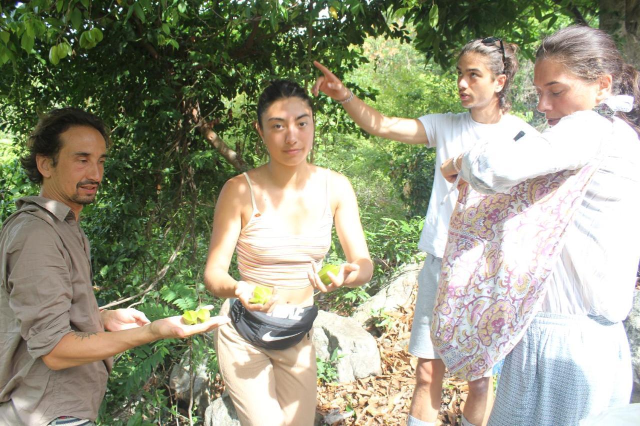 Cham Island Smiles Homestay Tân Hiệ Eksteriør billede